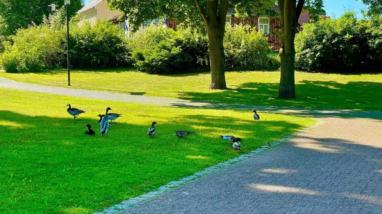 Gaestehaus Ambiente Am Kurpark Bad Sooden-Allendorf Ngoại thất bức ảnh